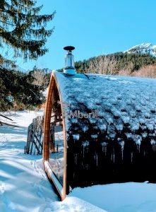 Outdoor Garden Sauna Pod Iglu (2)