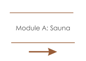 Module a sauna